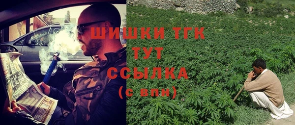 твердый Алзамай
