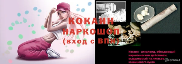дмт Аркадак