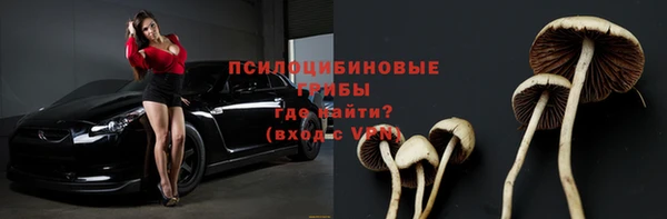 бутират Алексеевка