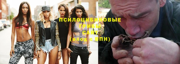 ешки Арсеньев
