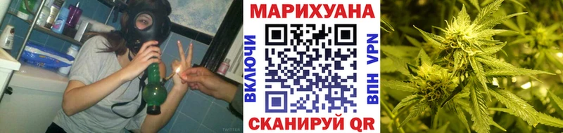 Марихуана сатива  Бабушкин 